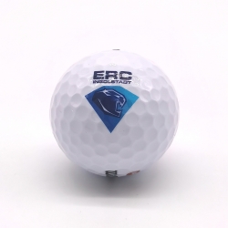 ERC Ingolstadt - Golfball - Logo - Weiß